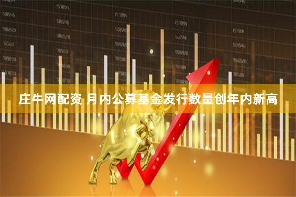 庄牛网配资 月内公募基金发行数量创年内新高